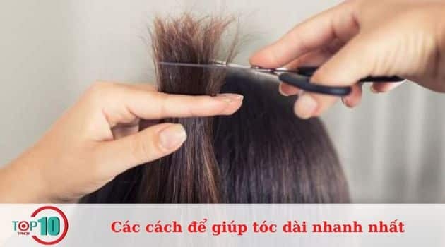 Loại bỏ phần đuôi tóc hư tổn