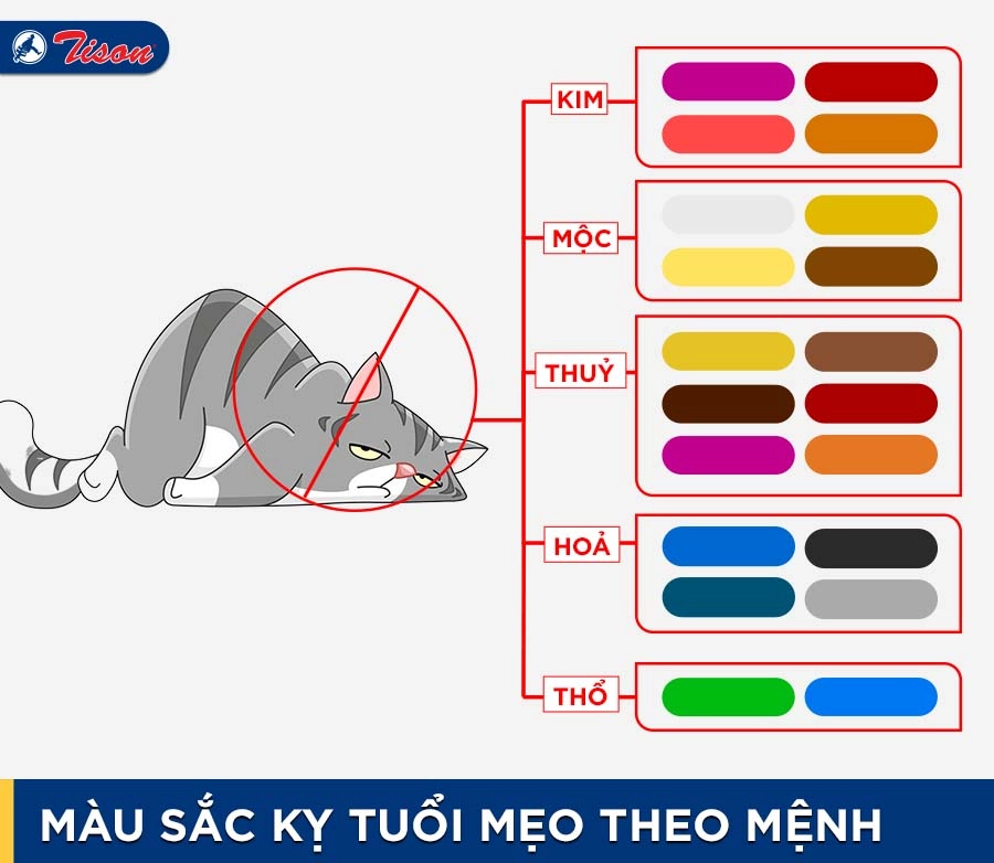 Màu kỵ tuổi Mẹo theo mệnh năm 2023