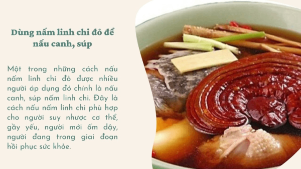 Nấu canh với nấm linh chi dành cho người suy nhược