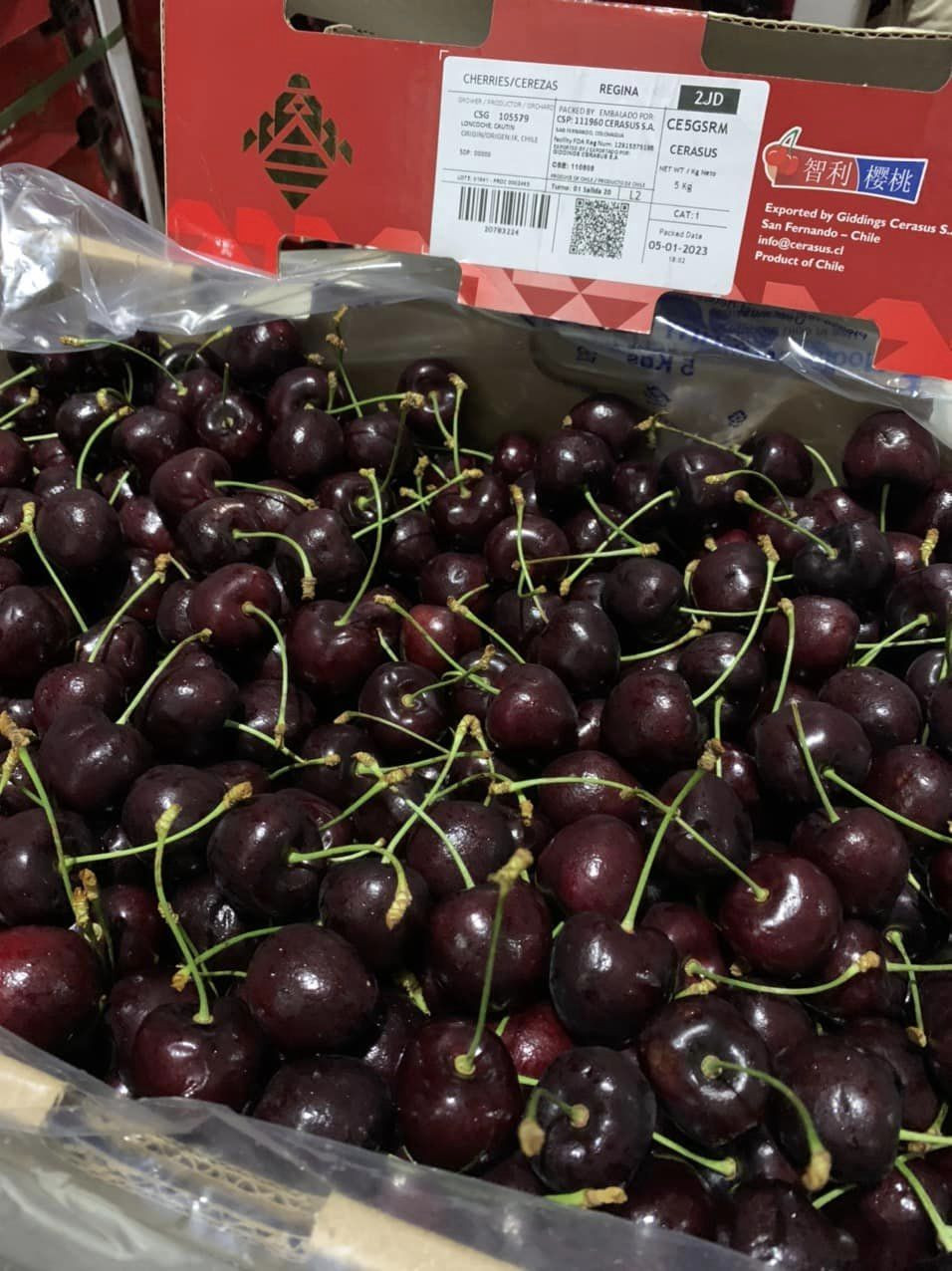 Bà nội trợ hoài nghi về loại cherry rẻ bất ngờ trên thị trường - Ảnh 2.