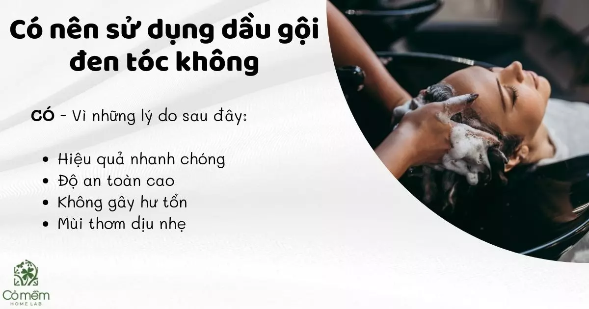 dầu gội đen tóc