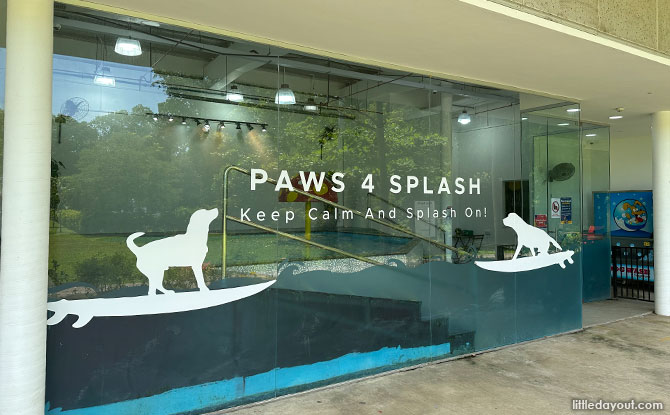 Paws 4 Splash