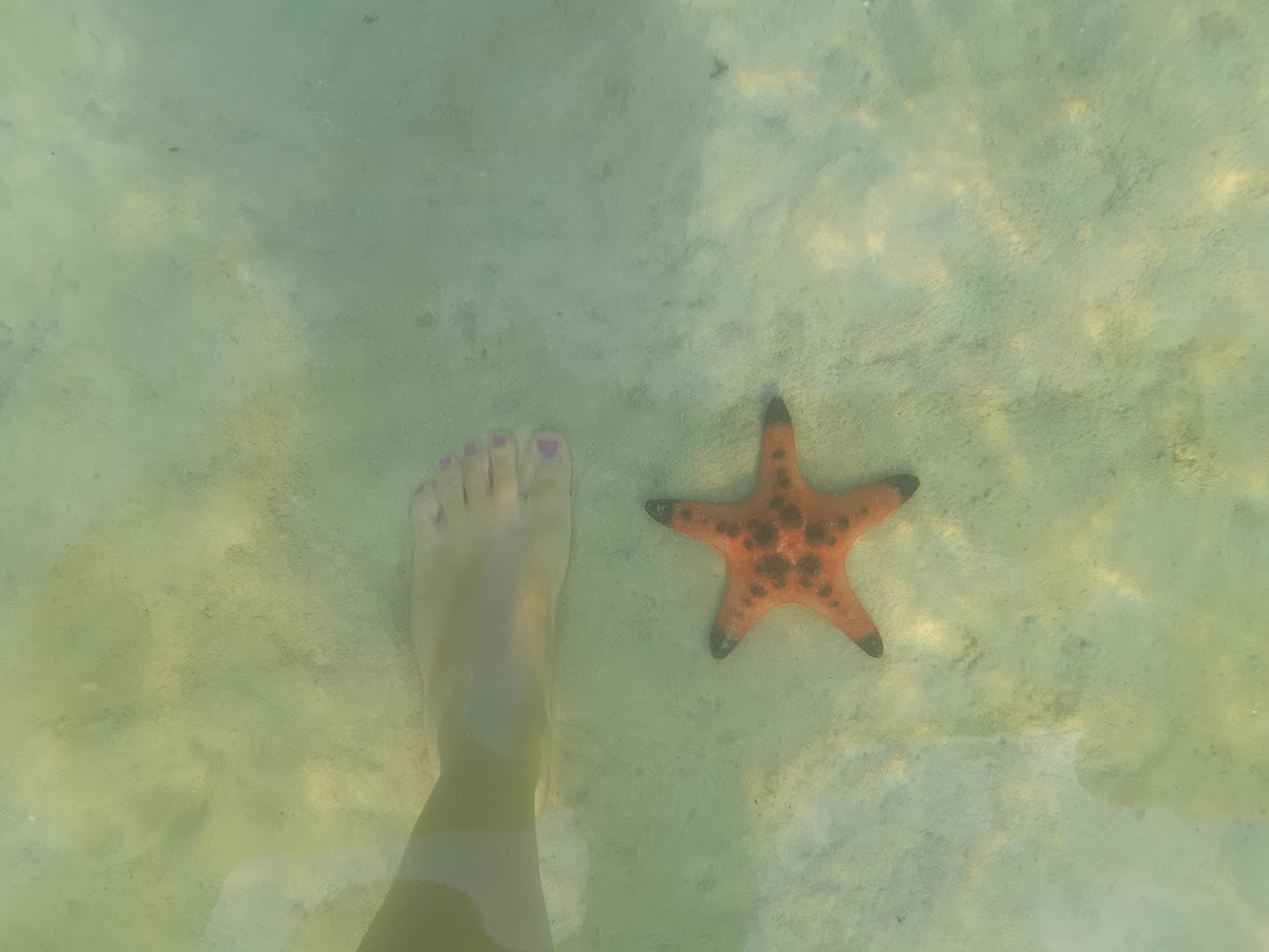 Starfish beach in Phu Quoc