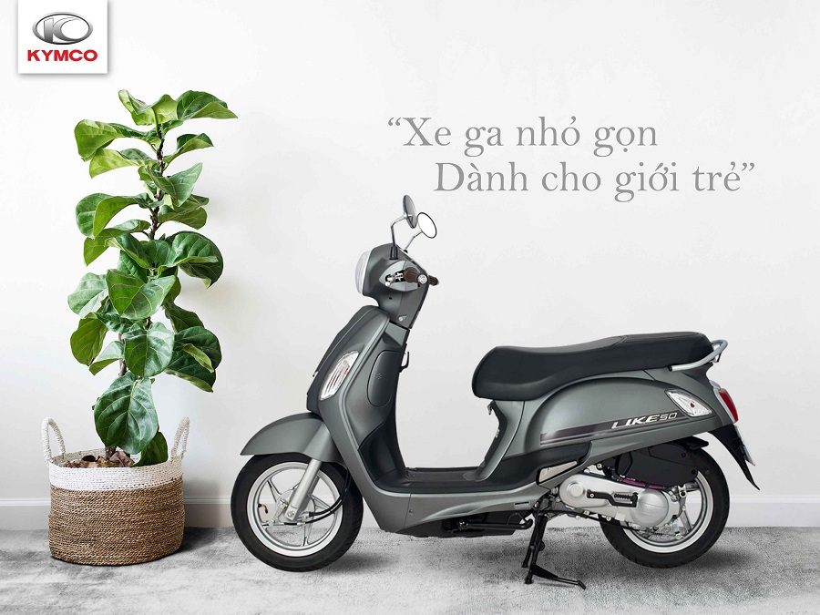 xe tay ga cao cấp