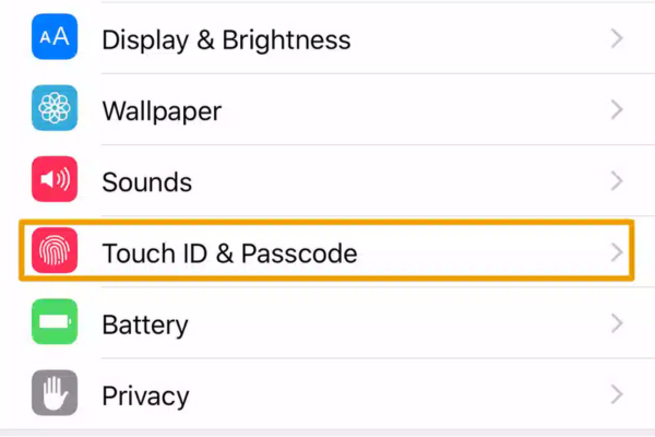 Chọn mục Touch ID & Passcode trong cài đặt