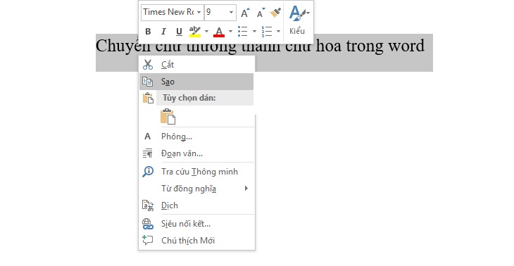 Chuyển đổi chữ hoa, chữ thường trực tiếp trên Word