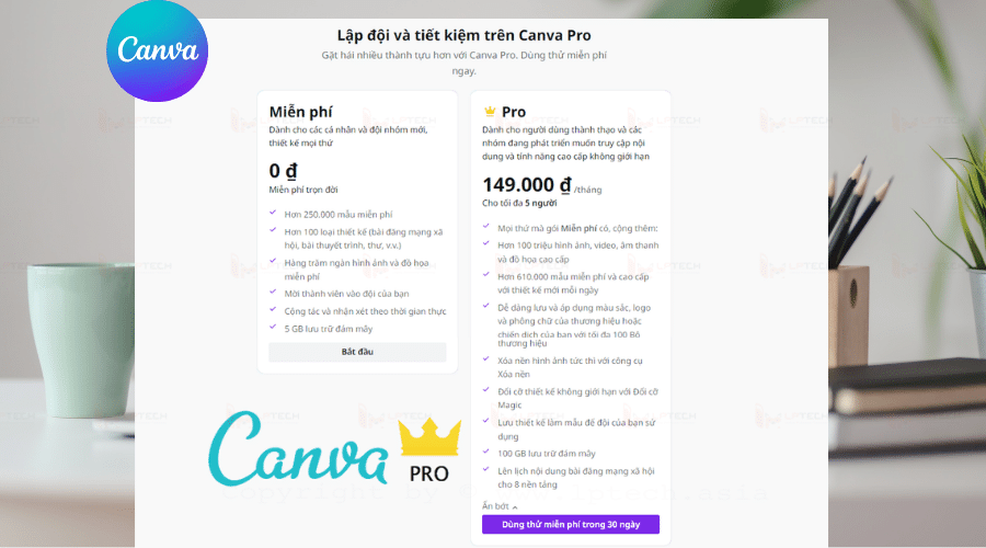 Canva pro