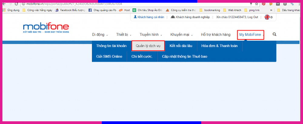 Kiểm tra dịch vụ Mobi Web B3