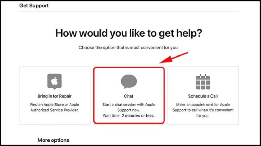 Chọn chat để bắt đầu trò chuyện với nhân viên Apple
