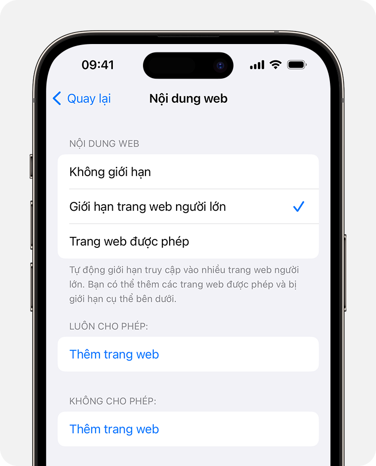 Màn hình iPhone hiển thị các tùy chọn Nội dung web dành cho quyền kiểm soát của phụ huynh