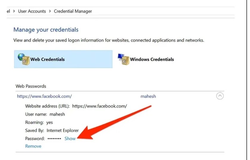 nhấn chọn Show ngay bên cạnh mật khẩu.