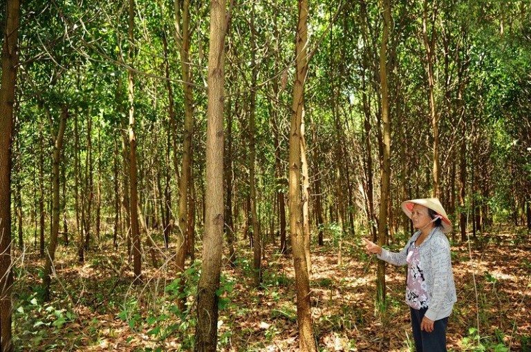 cách làm giàu ở nông thôn