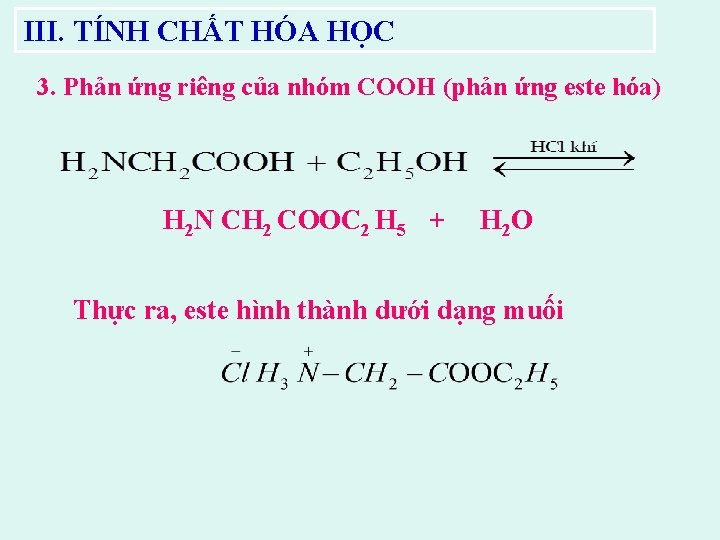 Phương trình phản ứng hóa học giữa amino acid với HNO2 - Amino axit