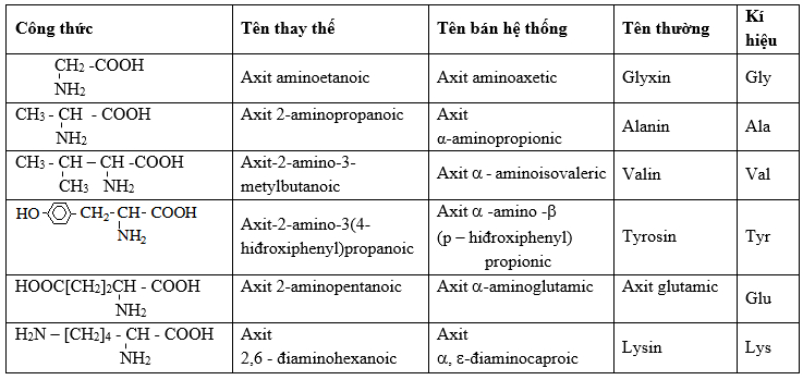 Định nghĩa amino axit - amino axit là gì