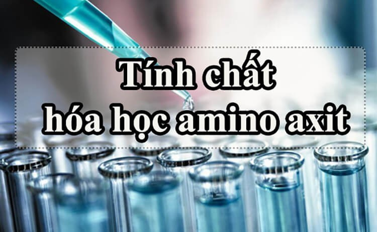 Phân loại các nhóm Amino Axit - amino axit là hợp chất hữu cơ 