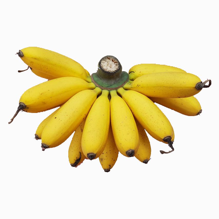 Bananas