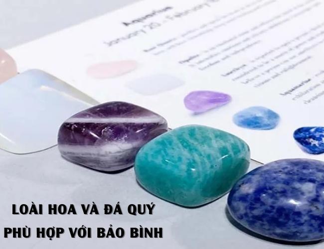 Loài hoa và đá quý của cung Bảo Bình