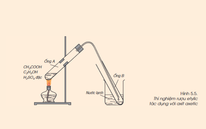 Thí nghiệm axit axetic tác dụng với rượu etylic. (Ảnh: Chụp màn hình)