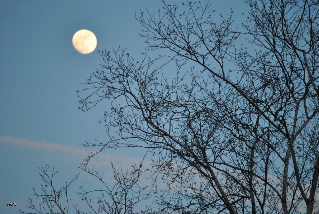 sunrise-june-28-2012-3-1024x687