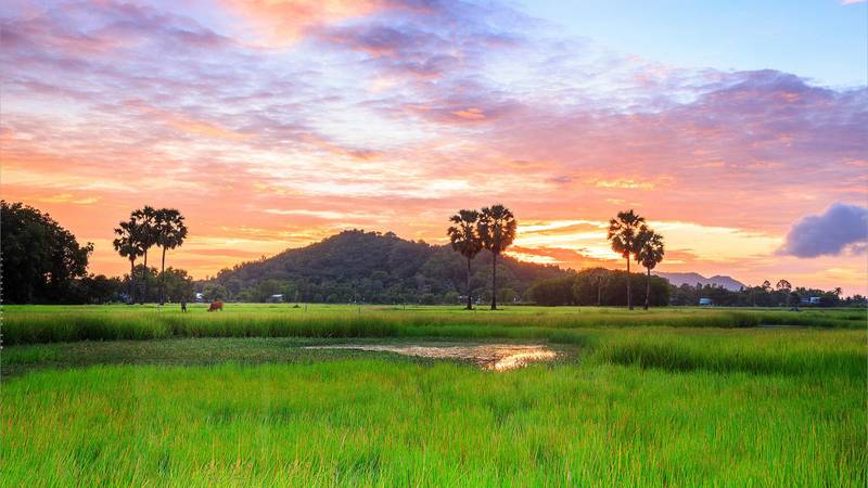 Ảnh phong cảnh sa mạc làm hình nền cho máy tính 4