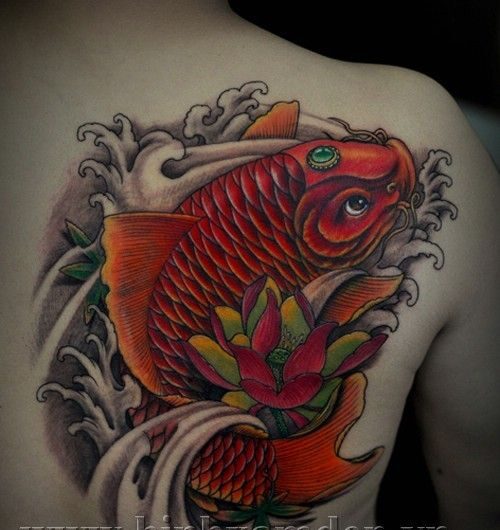 tattoo cá chép đỏ và hoa sen của khách