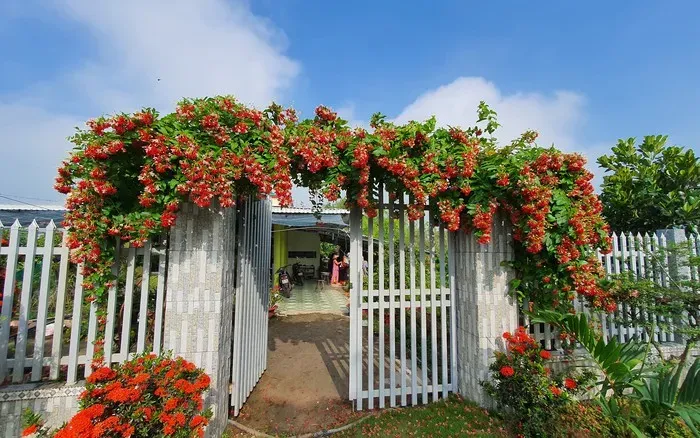 Sử quân tử trước cổng nhà