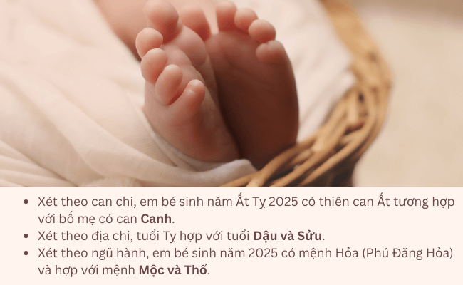 Sinh con năm 2025 hợp với bố mẹ tuổi gì?