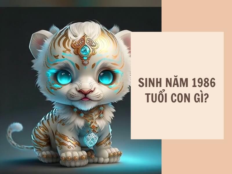 Sinh năm 1986 tuổi gì?