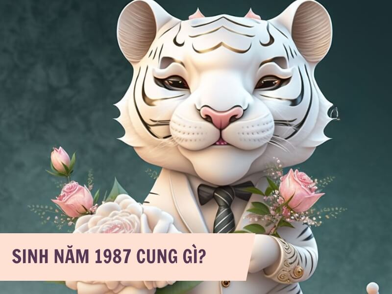 Người sinh năm 1986 thuộc cung gi?