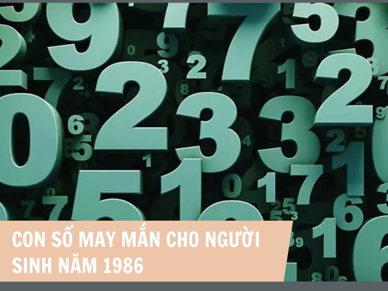 Con số phù hợp với người sinh năm 1986