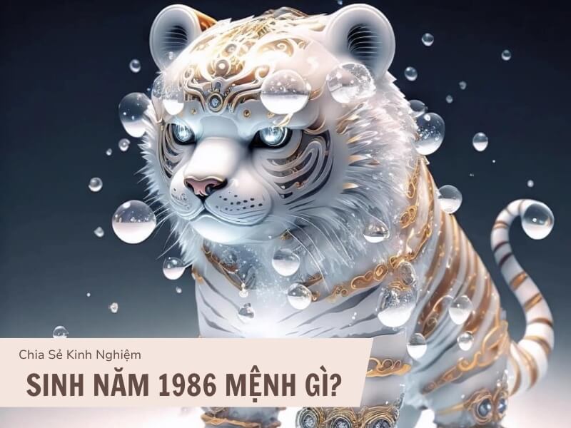 Sinh năm 1986 mệnh gì?