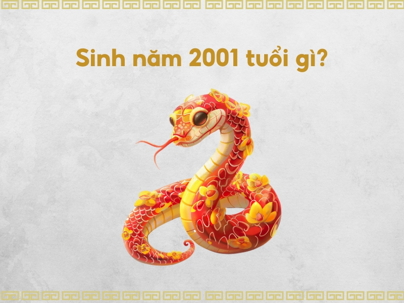 Sinh năm 2001 tuổi gì?