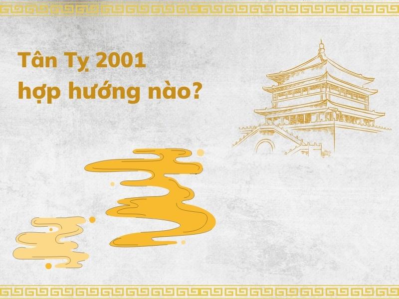 Hướng hợp với nam và nữ Tân Tỵ 2001 (Nguồn: Shopee Blog)