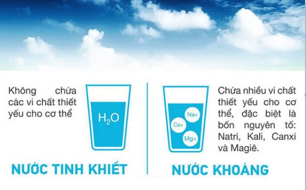 Phân biệt nước tinh khiết và nước khoáng