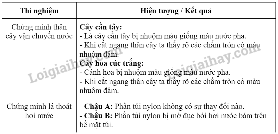 Bài 32. Thực hành: Thân vận chuyển nước và lá thoát hơi nước trang 136, 137 Khoa học tự nhiên 7 - Kết nối tri thức</>