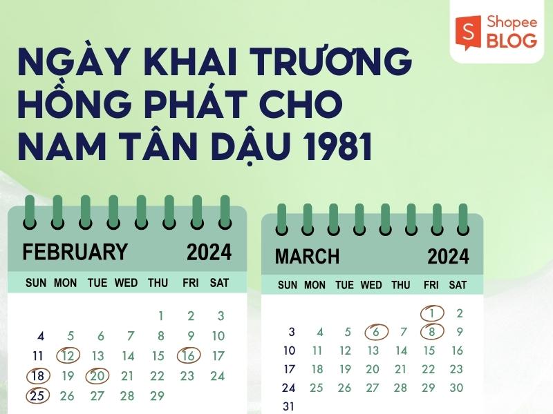 công việc của nam Tân Dậu trong năm 2024