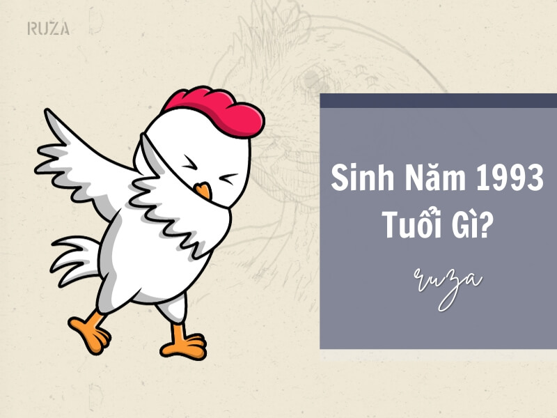 Sinh năm 1993 tuổi gì?