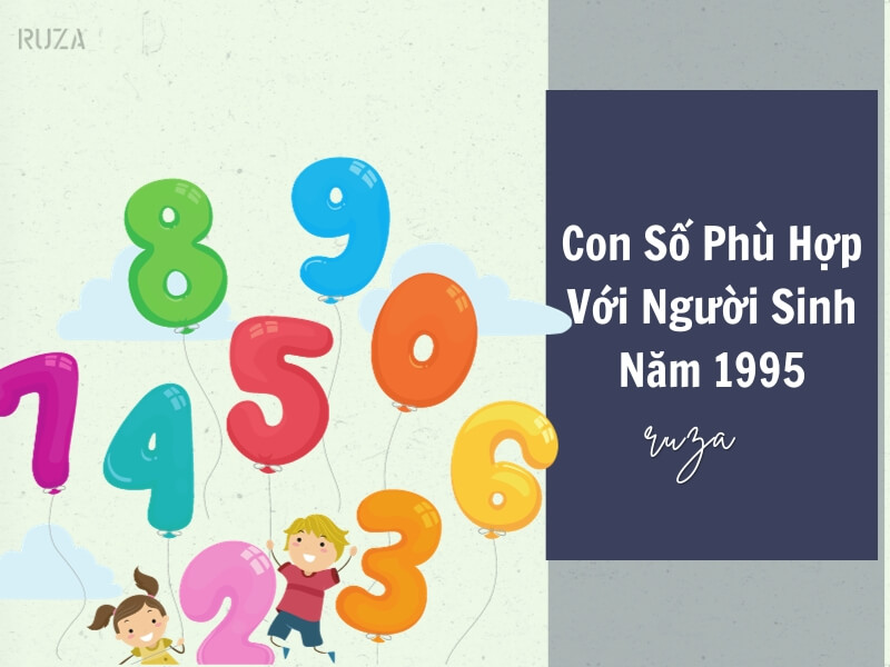 Con số nào phù hợp với người sinh năm 1995