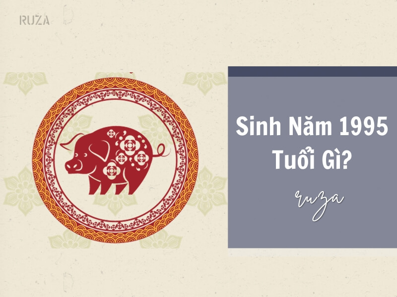 Sinh năm 1995 tuổi gì?