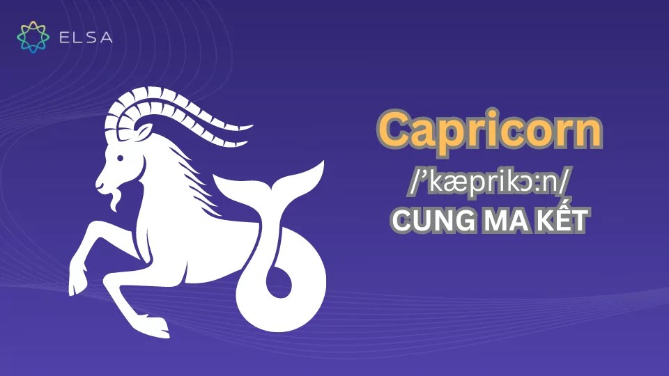 Capricorn - cung Ma Kết