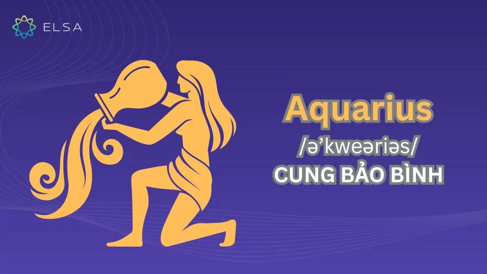 Aquarius - cung Bảo Bình