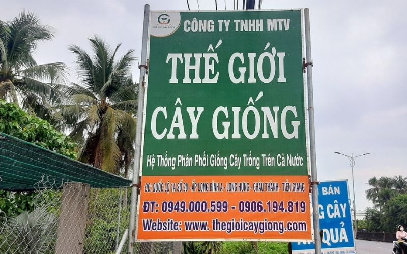 Thế Giới Cây Giống Chi Nhánh Long Định 2