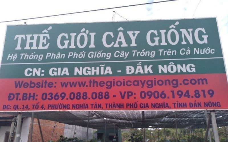 Thế Giới Cây Giống Chi Nhánh Gia Nghĩa