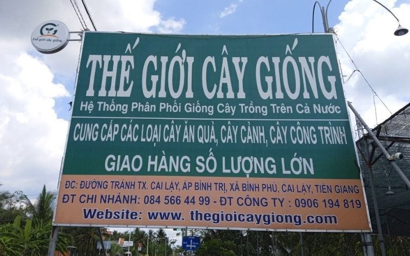 Thế Giới Cây Giống Chi Nhánh Cai Lậy