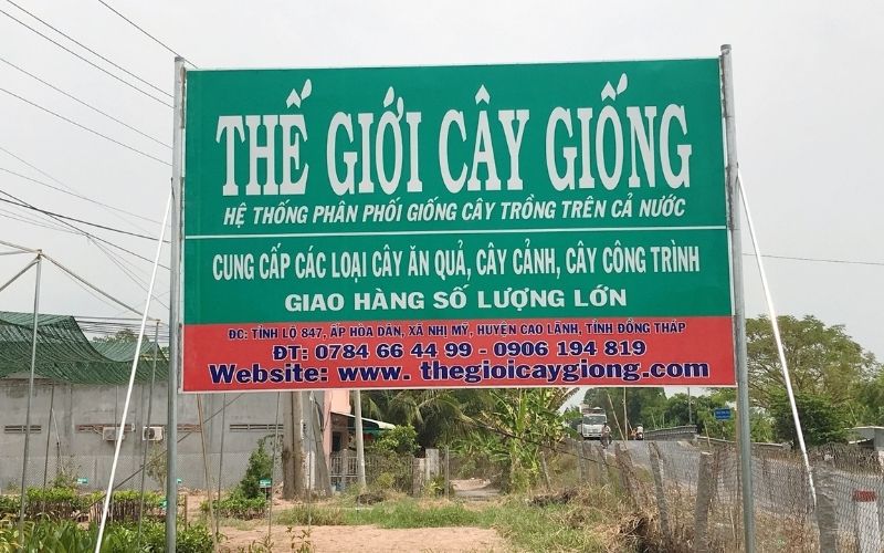 Thế giới cây giống chi nhánh cao lãnh tỉnh lộ 847