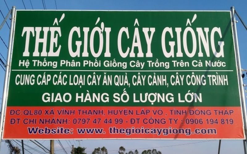 Thế Giới Cây Giống Chi Nhánh Lấp Vò