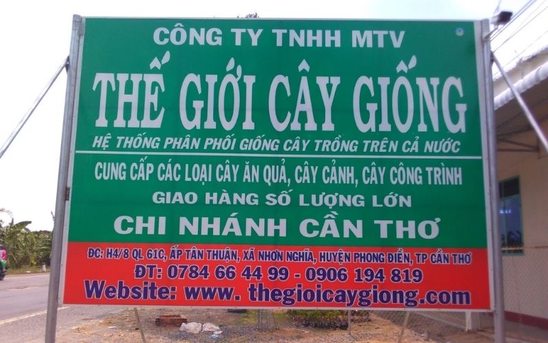 Thế Giới Cây Giống Chi Nhánh Cần Thơ