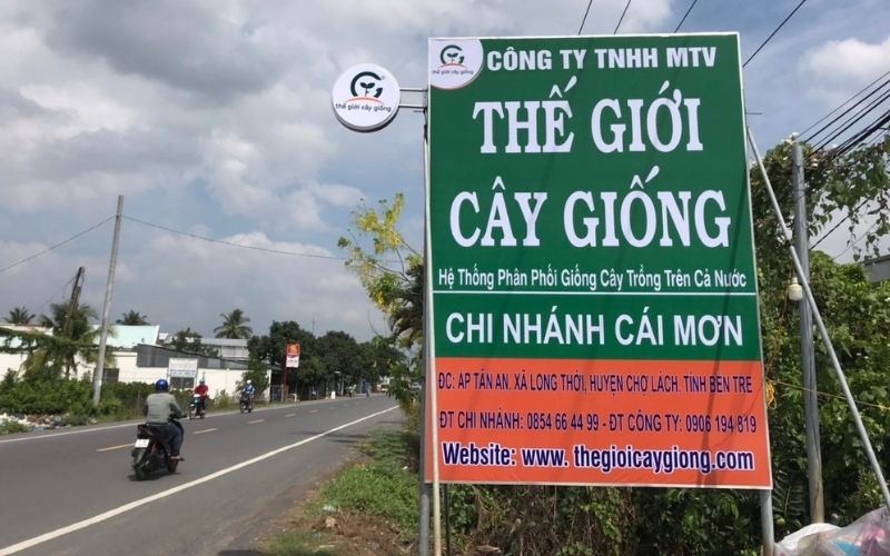 Thế Giới Cây Giống Chi Nhánh Cái Mơn