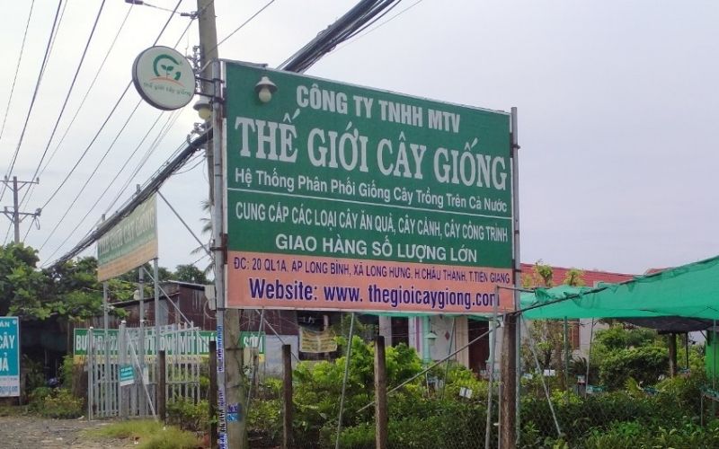 Thế giới cây giống chi nhánh Long Định