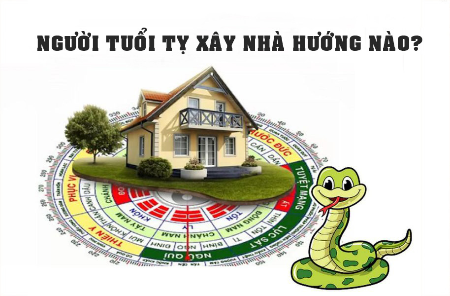 Người tuổi Tỵ hợp hướng nào? Bí quyết chọn hướng nhà